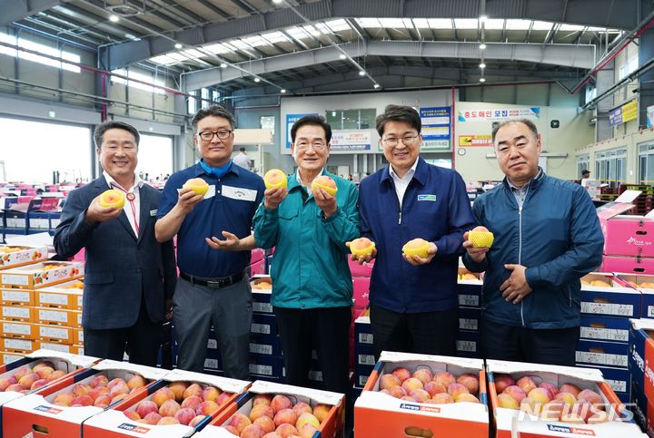 복숭아·자두 사러 오세요…영천, 여름 과일 출하 물량↑가격↓