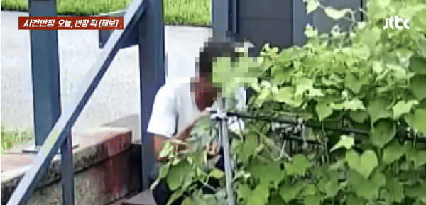 뻔뻔하게 주인 행세까지…포도밭 서리한 어르신(영상)