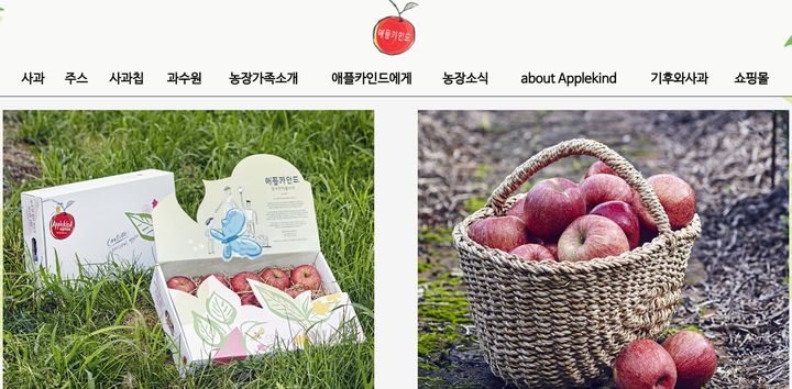 농촌융복합 스타기업에 애플카인드 푸드메이커 선정