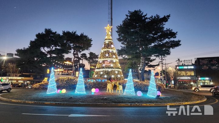 파주시 금촌·문산·교하 주요 교차로에 대형트리 설치