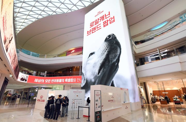 수입·국산 펫푸드 가격도 꿈틀…로얄캐닌, 24일부터 인상 돌입