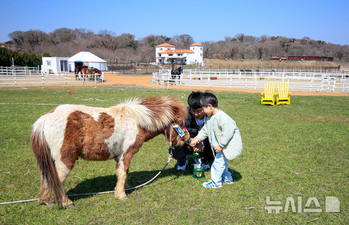 제주 에코랜드 테마파크에서 먹이주기 체험