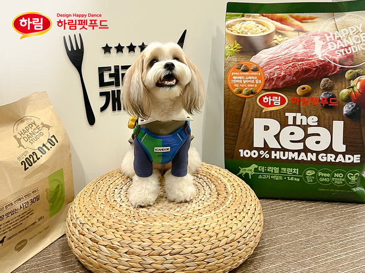 [펫과함께] 개슐랭 코스요리 맛보는 하림펫푸드 투어 인기