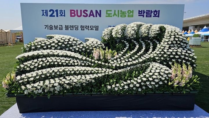 부산시 농업기술센터, 국화 국내육성품종 아카데미 운영