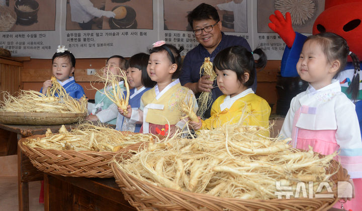 2025 진안홍삼축제 개막 앞두고 수삼 살펴보는 어린이들