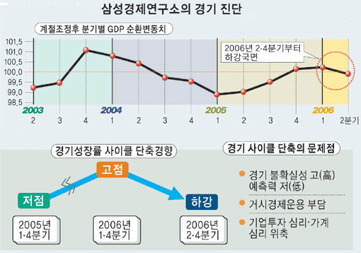 삼성경제연구소 “경기 이미 꺾여… 내년이 더 나빠”