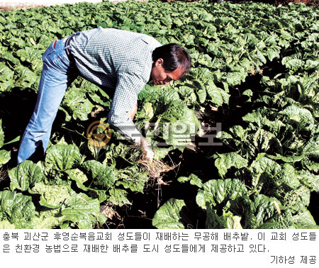 기하성 영농조합 ‘웰빙식탁’ 돕는다