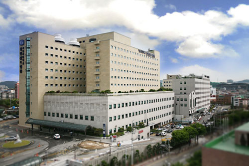 [지역별 주요병원을 가다] ② 경기도 수원시 가톨릭대학교 성빈센트병원