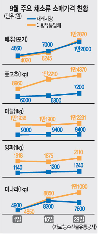 ‘산지 직거래’ 정부 지원받는 대형유통업체, 농산물값 되레 더 받아