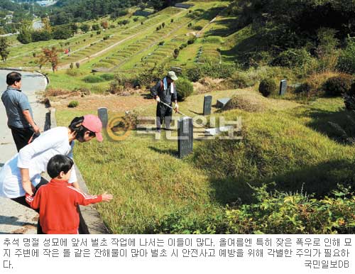 젖어있는 묘지·풀, 미끄럼·풀독 조심… ‘벌초의 계절’ 안전사고 예방요령