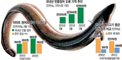 ‘귀하신 몸’ 장어, 한우보다 비싸네… 치어 확 줄어 100g 9800원