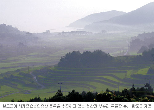 [즐거운 夏！夏！夏！-전남 완도] ‘전국에서 가장 매력있는 지역’에 뽑혀