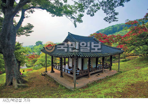 [매혹의 건축-‘명옥헌’] 간소하다, 조화롭다