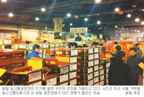 농협 농산물공판장 창립 51년만에 연간 매출 3조5000억 돌파
