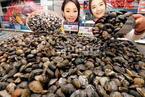 “안면도 바지락·벌교 꼬막이 1㎏에 6000원”