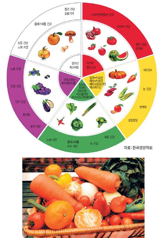 건강·젊음 부르는 ‘오색 슈퍼푸드’