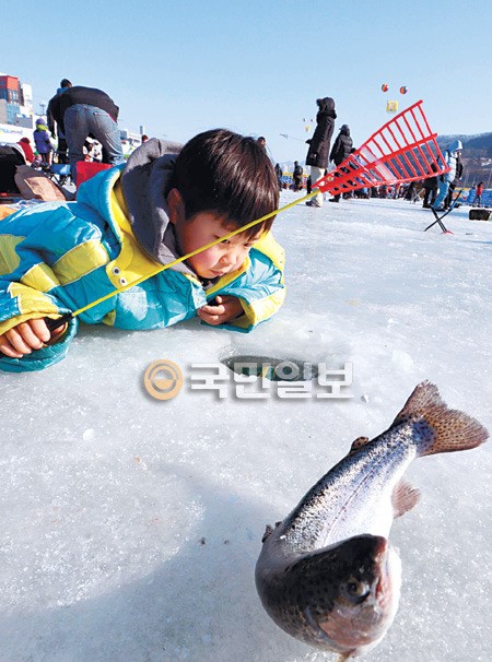 진지한 꼬마 강태공 “걸렸나?”