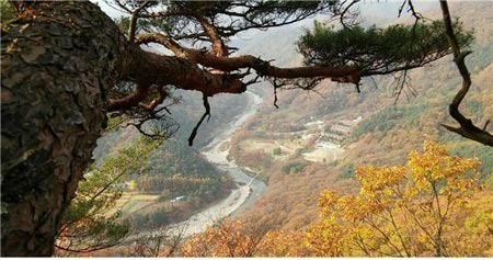 가평산속요양병원 27일, 암 극복 체험이야기 행사