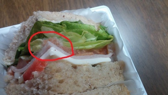“샌드위치 곰팡이, 진액이라 우기더라” 대형제과점 고발