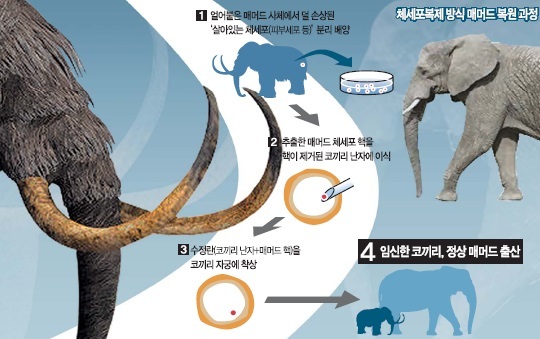 희대의 ‘매머드 소송戰’