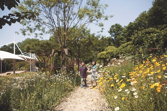 지천으로 핀 야생화, 방문객을 반긴다… 7월의 식물원들