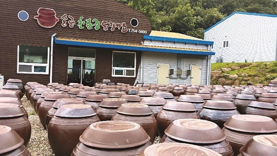 [살기 좋은 명품마을을 가다] (15) 전남 순천 송광된장마을