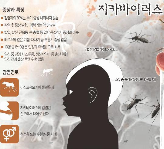지카바이러스, ‘제2 메르스’ 위험 낮지만 장기 유행·토착화 배제 못해