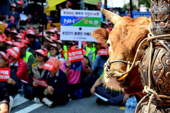 “한우 유통에도 적폐”… 전국한우협회 적폐 청산 촉구