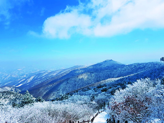 [포토] 태백산의 환상적 설경