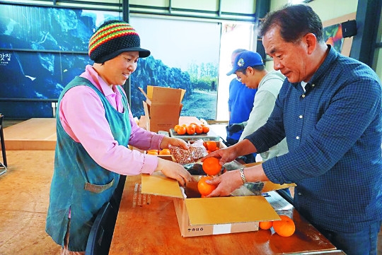 마을기업·마을공방·마을정원… 정(情)을 살려야 동네가 산다
