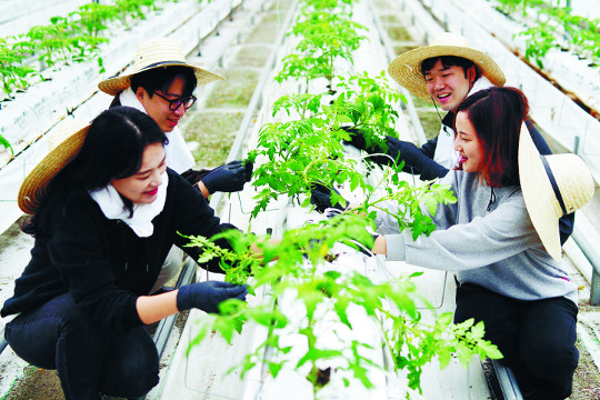 신세계푸드, 자사 협력농가 ‘팜팜농장’ 일손돕기 봉사