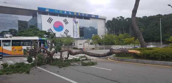 기록적인 강풍 ‘링링’ 전북 피해 잇따라