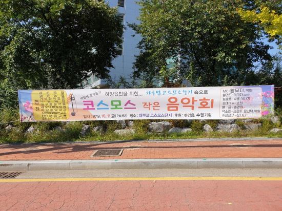 경산 하양 대부교 코스모스 단지서 백혈병환우 돕기 음악회