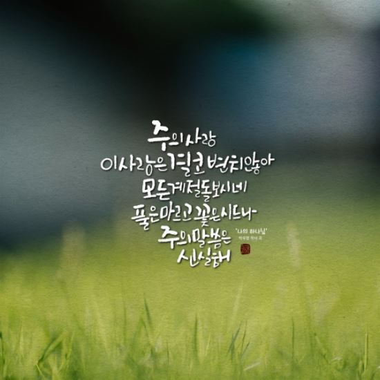 [캘리] 주의 사랑 이 사랑은 결코 변치않아 모든 계절 돌보시네