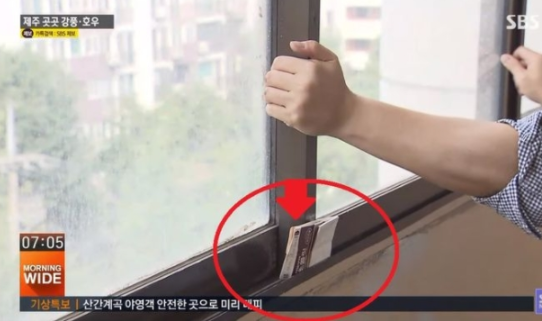 “X자 테이핑 보다는…” 슬기로운 ‘하이선’ 태풍 대비법