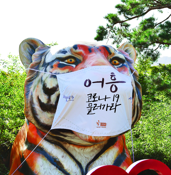 [포토 카페] 어흥! 코로나 물러가라
