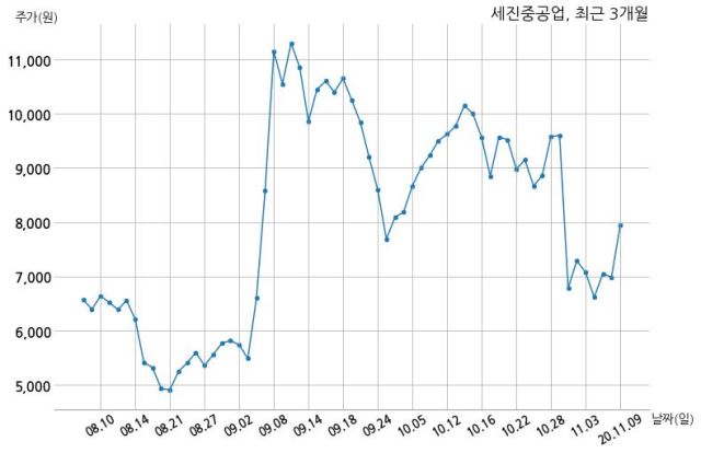 세진중공업, 특별관계자 지분변동