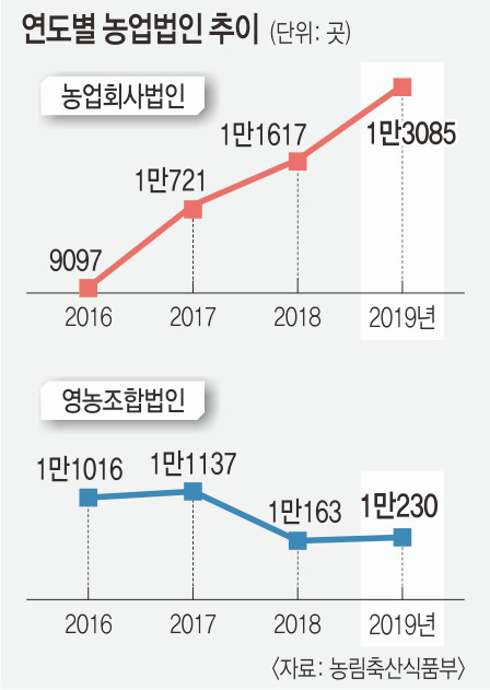 ‘투기 우회로’ 농업회사법인 文정부 들어 급증