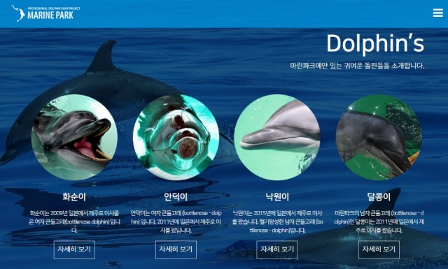 제주 마린파크서 또 돌고래 폐사…“비참한 운명”