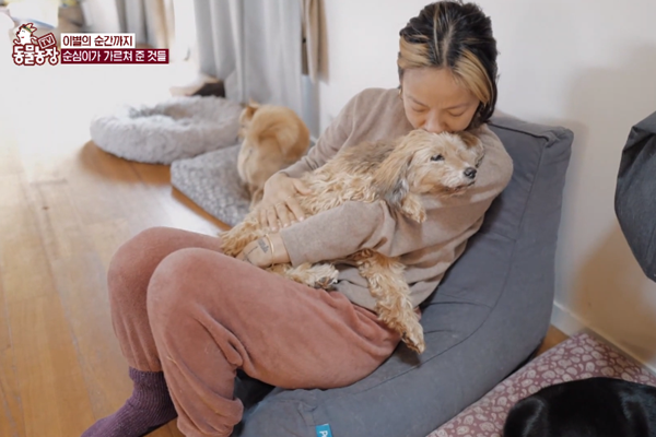 이효리 “사랑과 교감 알려준 순심이,고요하게 떠나” 눈물