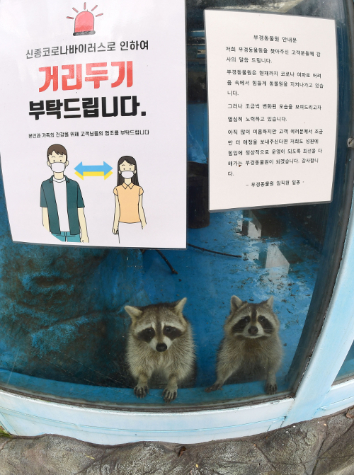 [앵글속 세상] 인적 끊긴 ‘슬픈 동물원’… 낡은 우리마다 흐르는 그리움