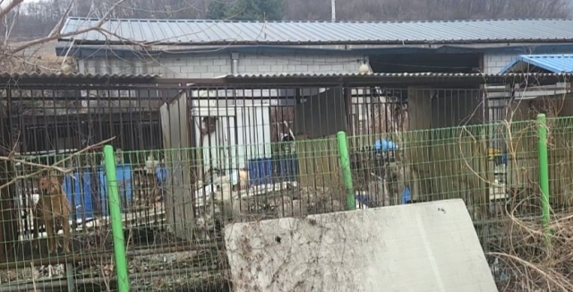 경기도, 광주 육견농장서 개 사체 8마리 등 발견