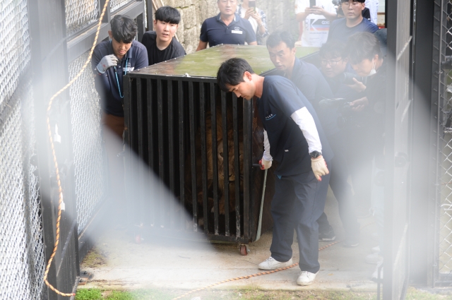 기니피그 사체 방치된 테마파크… ‘갈비사자’ 동물원 모기업이었다