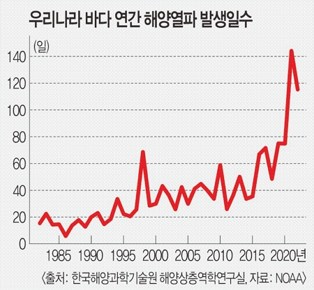 [장찬주의 바다와 기후변화] 바닷속 폭염 해양열파… 애니 주인공 ‘니모’ 영영 못볼 수도