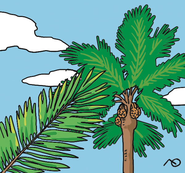 [인 더 바이블] 종려나무(palm tree)