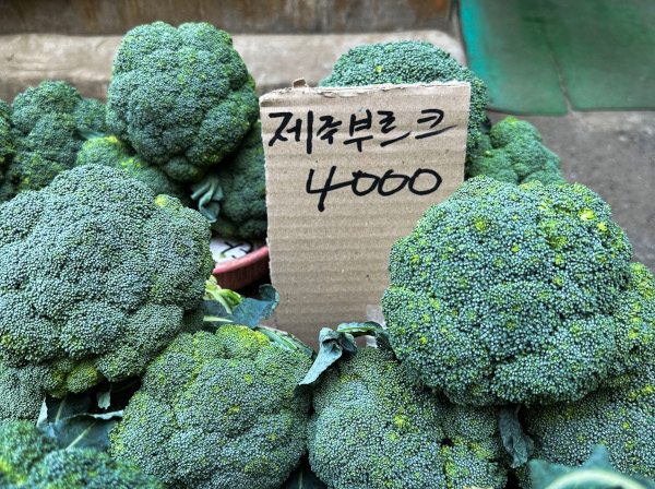 [포토 카페] 뜻만 통하면 된다