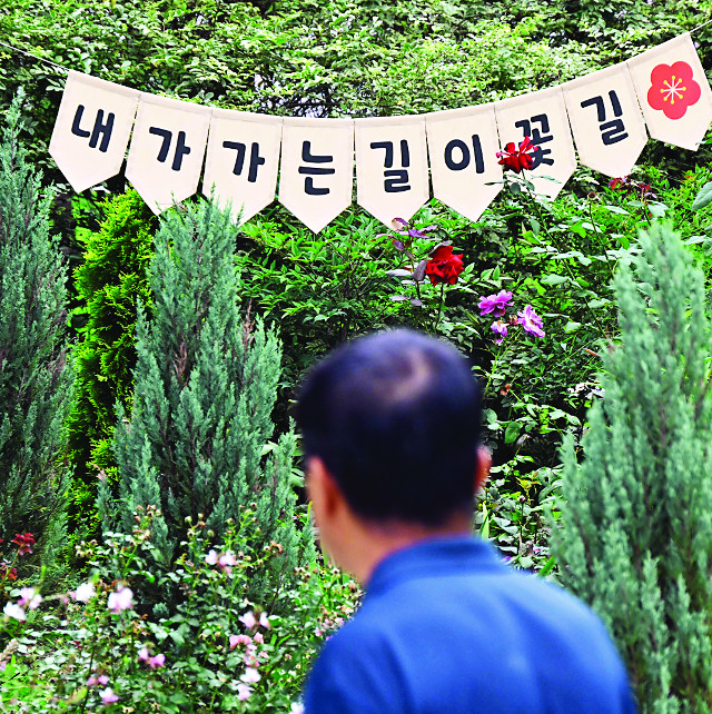 [포토 카페] 꽃길