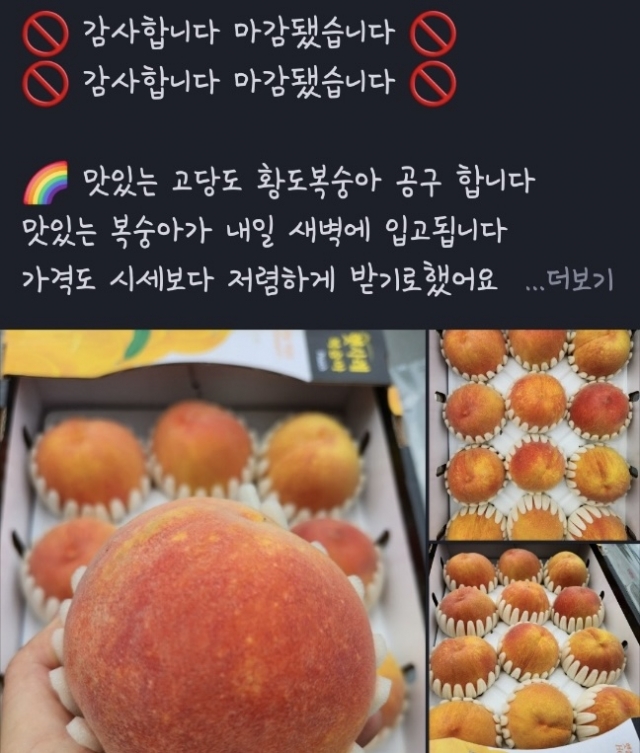 오~ 여긴 절반가격이네… 동네 과일채소가게 전성시대