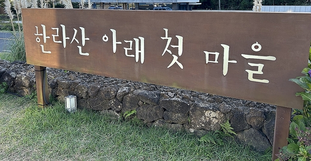 중산간 들녘마다 하얀 메밀 익어가는…10월 제주는 [제주라이프]
