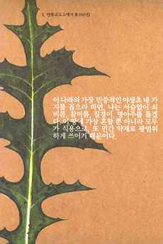 따사로운 봄날, 야생초를 즐기다